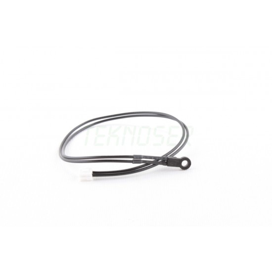 Ricoh AW100142 Thermistor Main