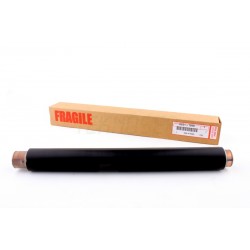 Ricoh AE011048 Hot Roller