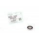 Ricoh D2233080 Ball Bearing on Developing Roller (B0653080)